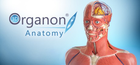 3D Organon Anatomy Cover