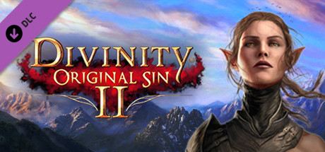 Divinity: Original Sin 2 - Divine Ascension Cover