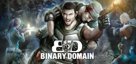 Binary Domain Cover