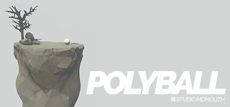 Polyball Cover