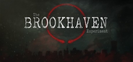 The Brookhaven Experiment Cover