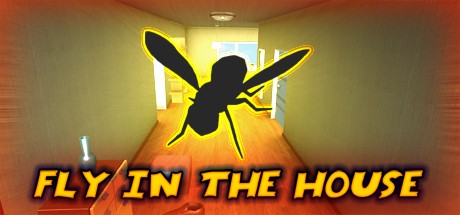 Fly in the House Cover