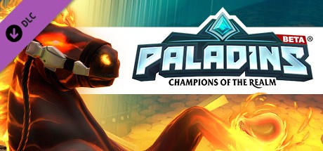 Paladins Founder's Pack Cover