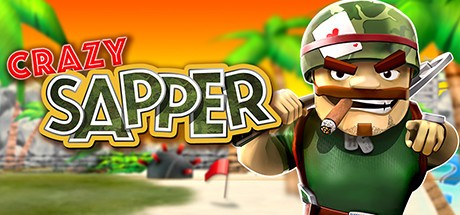 Crazy Sapper 3D Cover