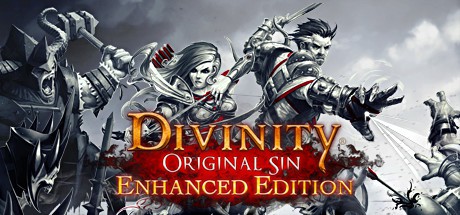 Divinity: Original Sin - Enhanced Edition Cover