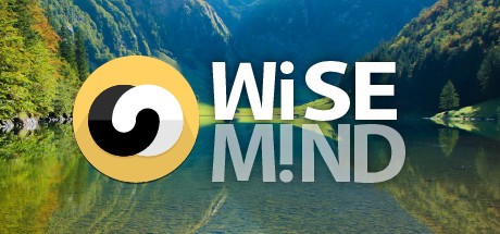 WiseMind Cover