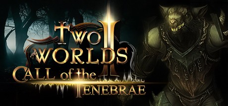 Two worlds ii call of the tenebrae обзор