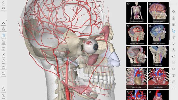 3D Organon Anatomy Screenshot #1
