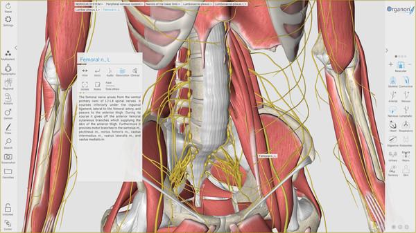 3D Organon Anatomy Screenshot #3