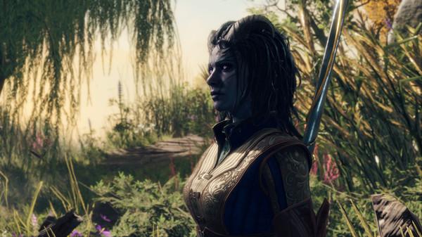 Baldur's Gate 3 Screenshot #1