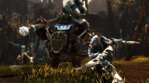 Kingdoms of Amalur: Re-Reckoning Screenshot #2