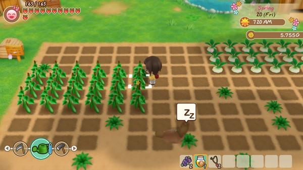 Story of Seasons: Friends of Mineral Town Screenshot #3