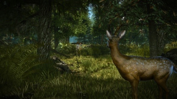 The Witcher 2: Assassins of Kings Enhanced Edition Screenshot #2