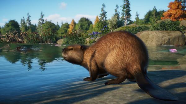 Planet Zoo: North America Animal Pack Screenshot #1