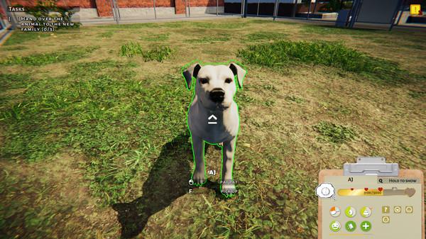 Animal Shelter Screenshot #2