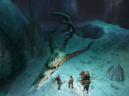 Dungeon Siege Screenshot #3