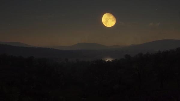 theHunter: Call of the Wild - Parque Fernando Screenshot #2