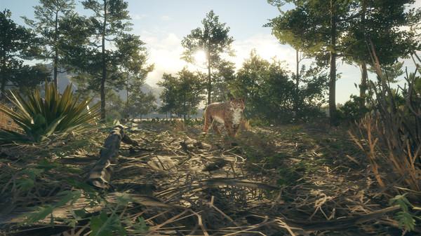 theHunter: Call of the Wild - Rancho del Arroyo Screenshot #2