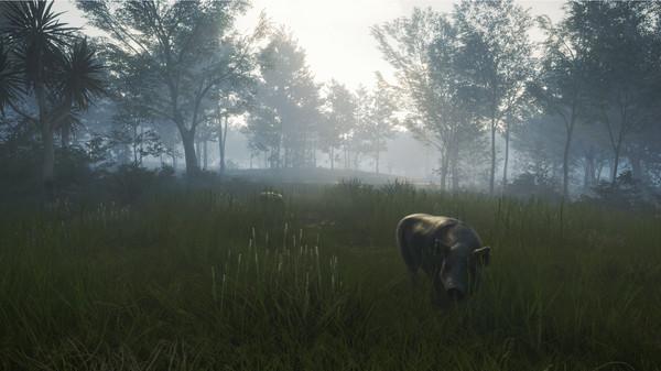 theHunter: Call of the Wild - Te Awaroa National Park Screenshot #3