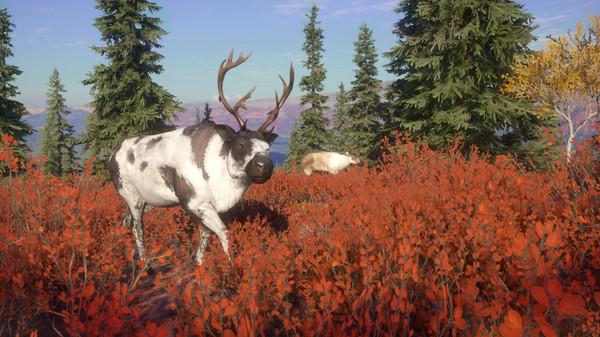 theHunter: Call of the Wild - Yukon Valley Screenshot #1