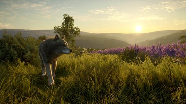 theHunter: Call of the Wild - Cuatro Colinas Game Reserve Screenshot #2