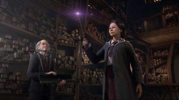 Hogwarts Legacy Screenshot #3