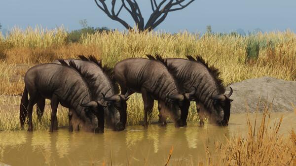 Planet Zoo: Grasslands Animal Pack Screenshot #2