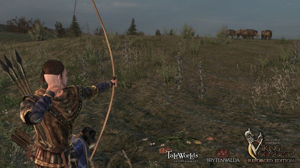 Mount & Blade: Warband - Viking Conquest Reforged Edition Screenshot #2