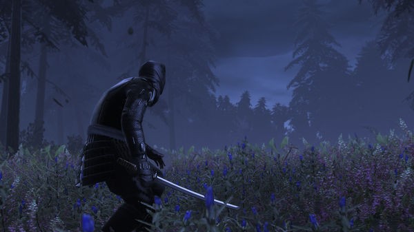 Total War: Shogun 2 - The Hattori Clan Pack Screenshot #2