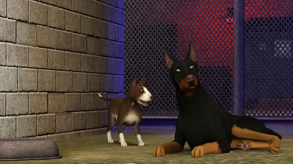 Die Sims 3: Einfach tierisch Screenshot #2