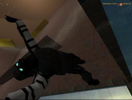 Half-Life 2: Deathmatch Screenshot #1