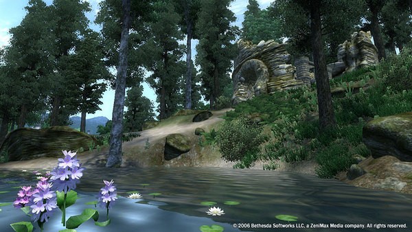 The Elder Scrolls IV: Oblivion - Game of the Year Edition Screenshot #3