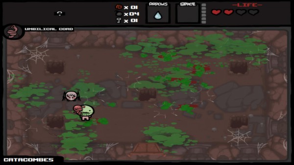 Binding of Isaac: Wrath of the Lamb Screenshot #2