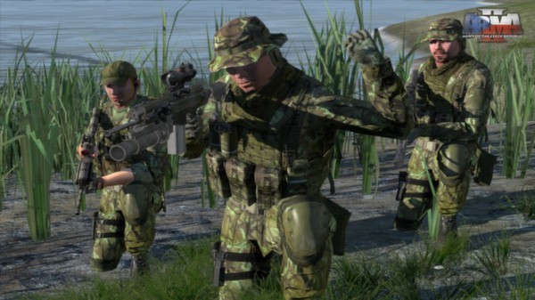 Arma 2: Army of the Czech Republic Screenshot #2