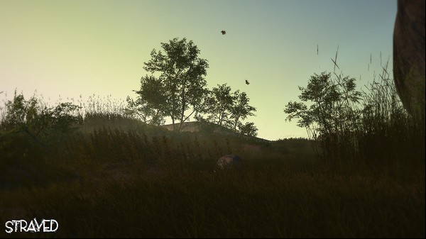 Strayed Screenshot #1