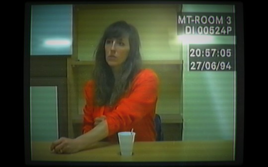 Her Story Screenshot #2