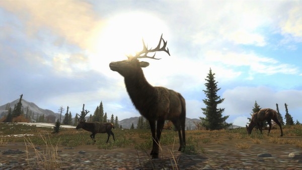 Cabela's Big Game Hunter: Pro Hunts Screenshot #1