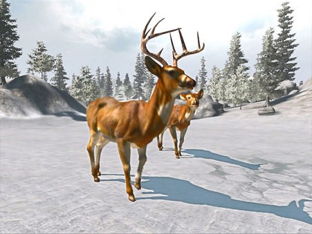 Cabela's Big Game Hunter: Trophy Bucks Screenshot #1