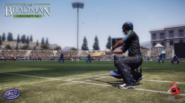 Don Bradman Cricket 14 Screenshot #3