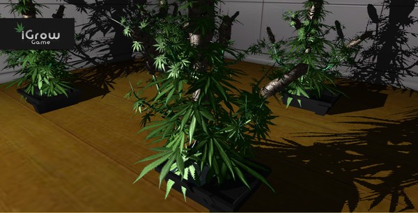 iGrow Game Screenshot #1