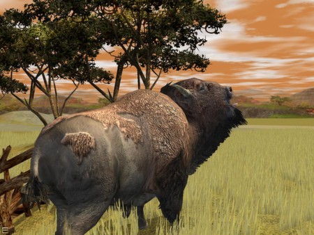 Wildlife Park 2 - Crazy Zoo Screenshot #2