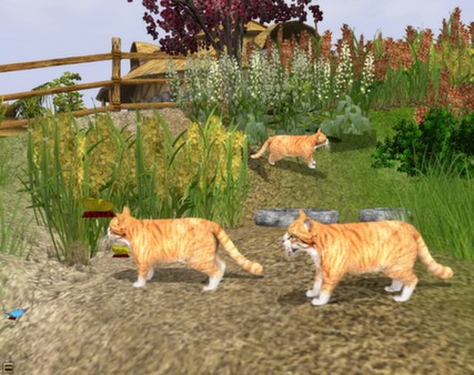 Wildlife Park 2 - Domestic Animals Screenshot #1