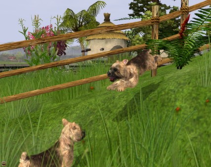 Wildlife Park 2 - Domestic Animals Screenshot #2