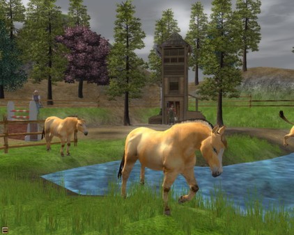 Wildlife Park 2 - Horses Screenshot #1