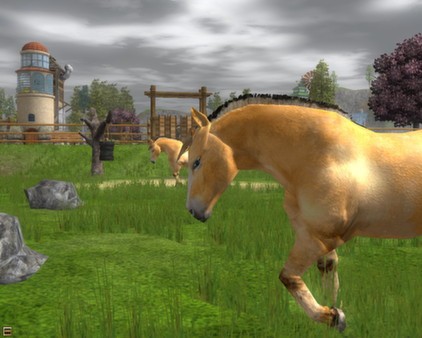 Wildlife Park 2 - Horses Screenshot #2