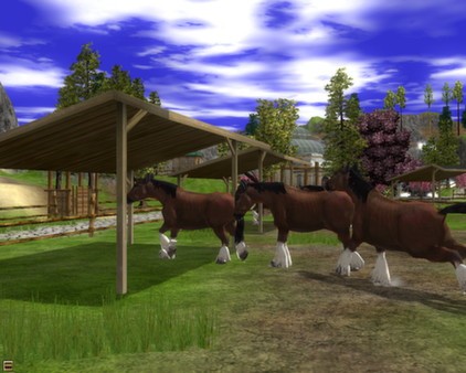 Wildlife Park 2 - Horses Screenshot #3