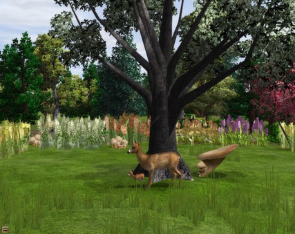 Wildlife Park 2 - Kitz (fawn) Screenshot #1