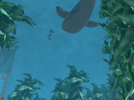 Wildlife Park 2 - Marine World Screenshot #1