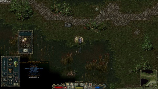 Divine Divinity Screenshot #1