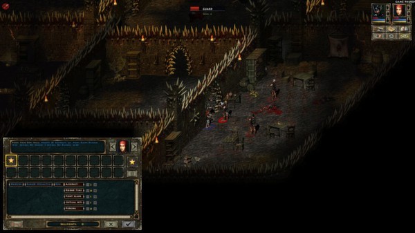 Beyond Divinity Screenshot #1